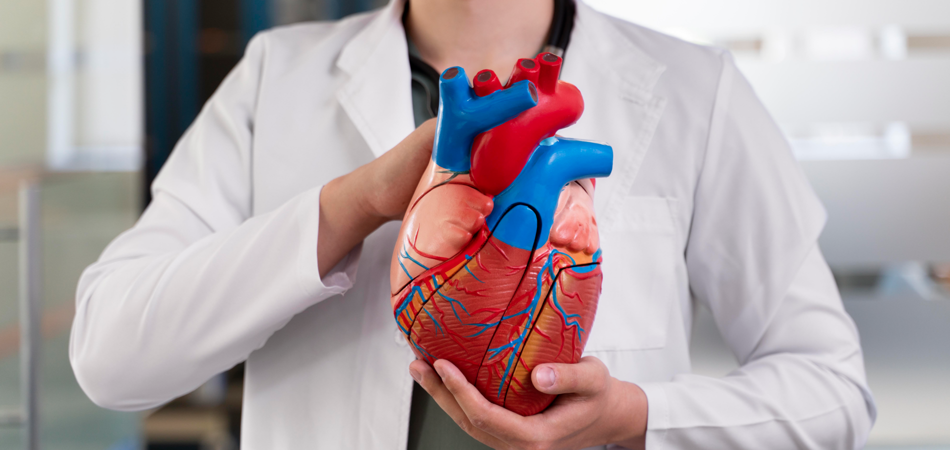 Общие сведения об ишемии сердца