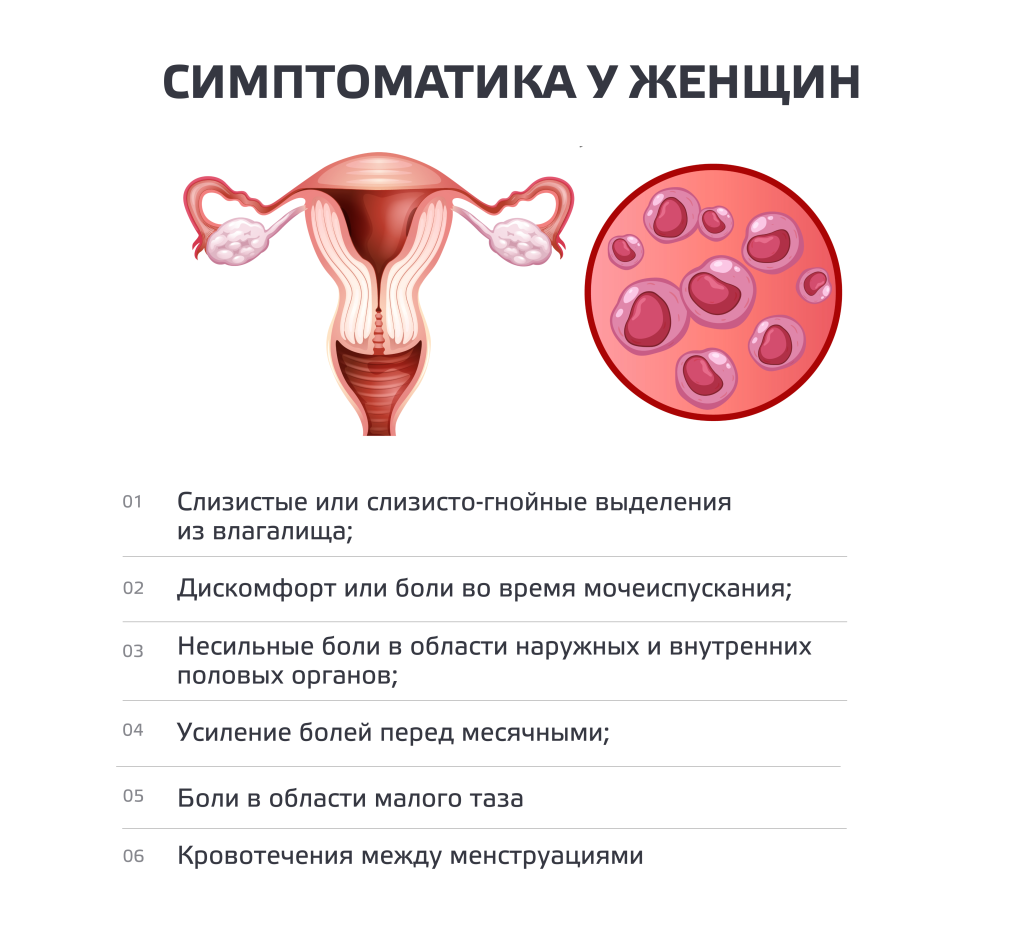 осмотр мужских яичек женщинами 